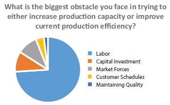 Graph displaying biggest obstacle you face in trying to either increase production capacity or improve current production efficiency