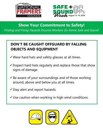 Safety Poster Thumbnail